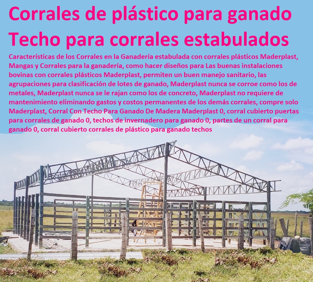 Establos cubiertos Corral Estabulado Maderplast Corrales Ganadería Intensiva 0 Imágenes de Establo Para Ganado Estabulado 0 Diseño de Corrales Para Ganado Estabulado 0 Corrales Para Engorda Bovinos Estabulados Ganadería Intensiva Establos cubiertos Corral Estabulado Maderplast Sistemas de Pastoreo, Estabulación de Ganado, Pastoreo Intensivo, Establos, Corrales, Saladeros, Comederos, Cerramientos, Postes, Ganaderías Tecnificadas, Ganaderías Tecnificadas, Explotación Ganadera Automatizada, Corrales Ganadería Intensiva 0 Imágenes de Establo Para Ganado Estabulado 0 Diseño de Corrales Para Ganado Estabulado 0 Corrales Para Engorda Bovinos Estabulados Ganadería Intensiva